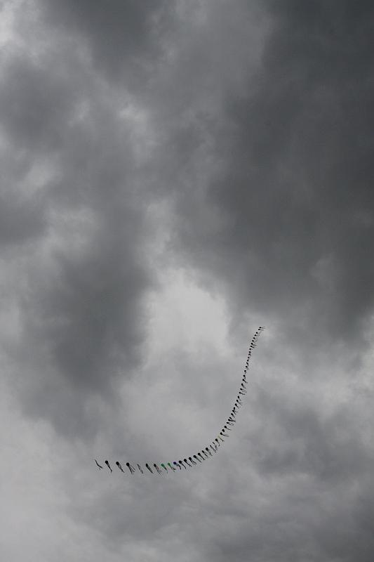 Skites_Art_02.jpg - A kite...